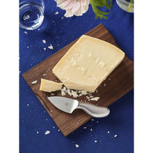 Load image into Gallery viewer, Pott "Picado" Cheese Knife
