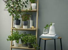 Load image into Gallery viewer, Self-Watering Planter - 11cm Nordic Grey
