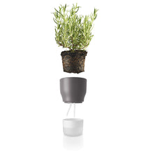 Load image into Gallery viewer, Self-Watering Planter - 11cm Nordic Grey
