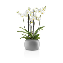 Load image into Gallery viewer, Stone Flowerpot
