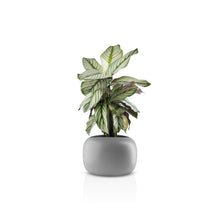Load image into Gallery viewer, Stone Flowerpot

