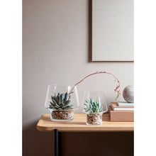 Load image into Gallery viewer, Succulent Glass Vase
