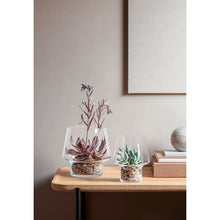 Load image into Gallery viewer, Succulent Glass Vase
