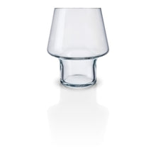 Load image into Gallery viewer, Succulent Glass Vase

