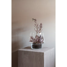 Load image into Gallery viewer, Succulent Glass Vase
