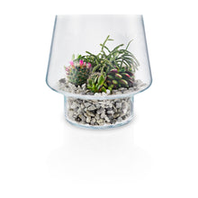 Load image into Gallery viewer, Succulent Glass Vase
