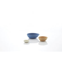 Load image into Gallery viewer, Bowl and Chopsticks
